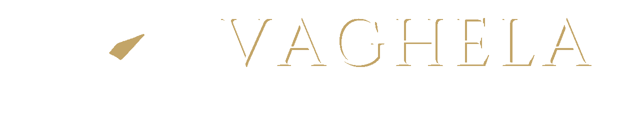 Vaghela Global Sourcing